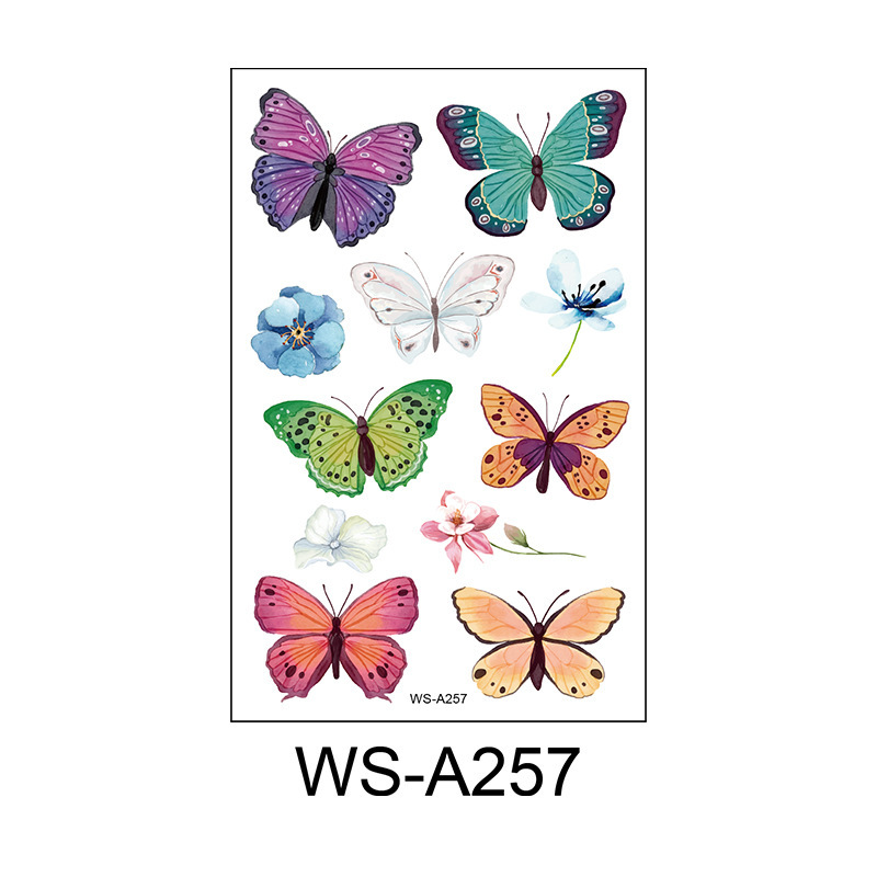 WS-A257