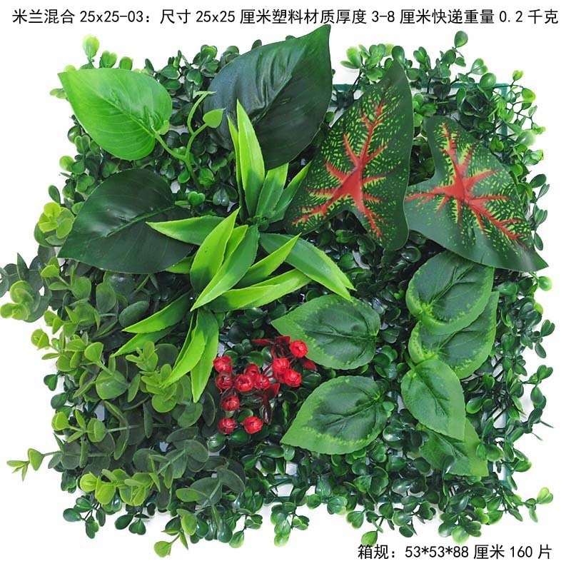 25x25 cm herbe de Milan mixte-03