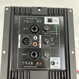 Hot Sell Class D <strong>Amplifier</strong> Module for Active <strong>Speaker</strong> Subwoofer <strong>Amplifier</strong> Module 2 Ch Audio <strong>Input</strong> <strong>Amplifier</strong> Module - Product Image 3