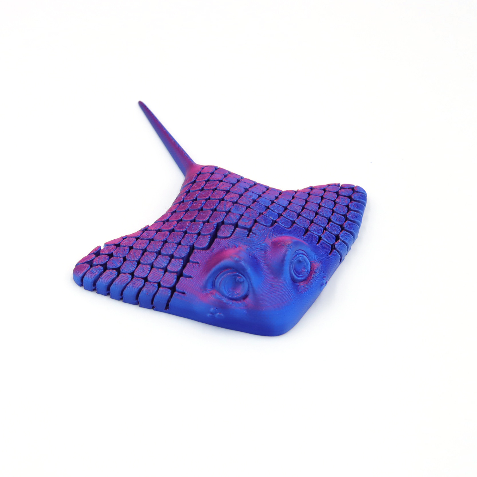 Stingray - Dégradé rouge et bleu