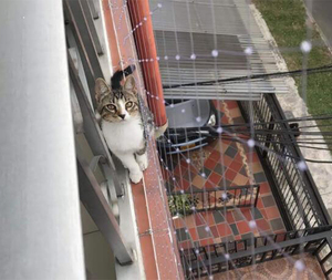 小动物塑料网保护猫建筑安全网阳台游泳池安全网 - Product Image 2