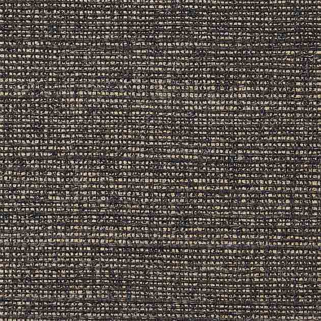 SGA2431 _ C01