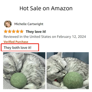 Nueva llegada de juguete de entrenamiento interactivo Super Big Cat Toy Gall Fruit Ball 10cm Extra Large Catnip Ball - Product Image 4