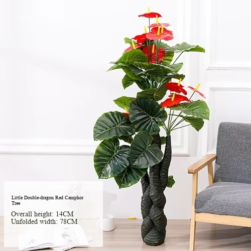 Small Double Dragon Anthurium Tree (Without Pot)