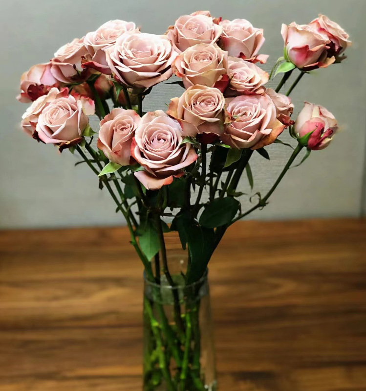 Cabo-chino (10 sticks/tie)