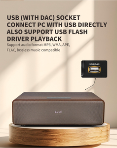HIFI有源2.1通道USB无线低音扬声器，适用于家庭影院户外电脑和舞台卡拉ok
