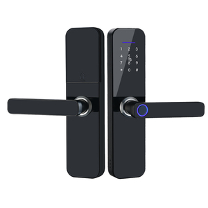 TTlock Wifi telecomando Smart Lock M1 controllo accessi per porte di sicurezza domestica serratura antifurto serratura biometrica per impronte digitali