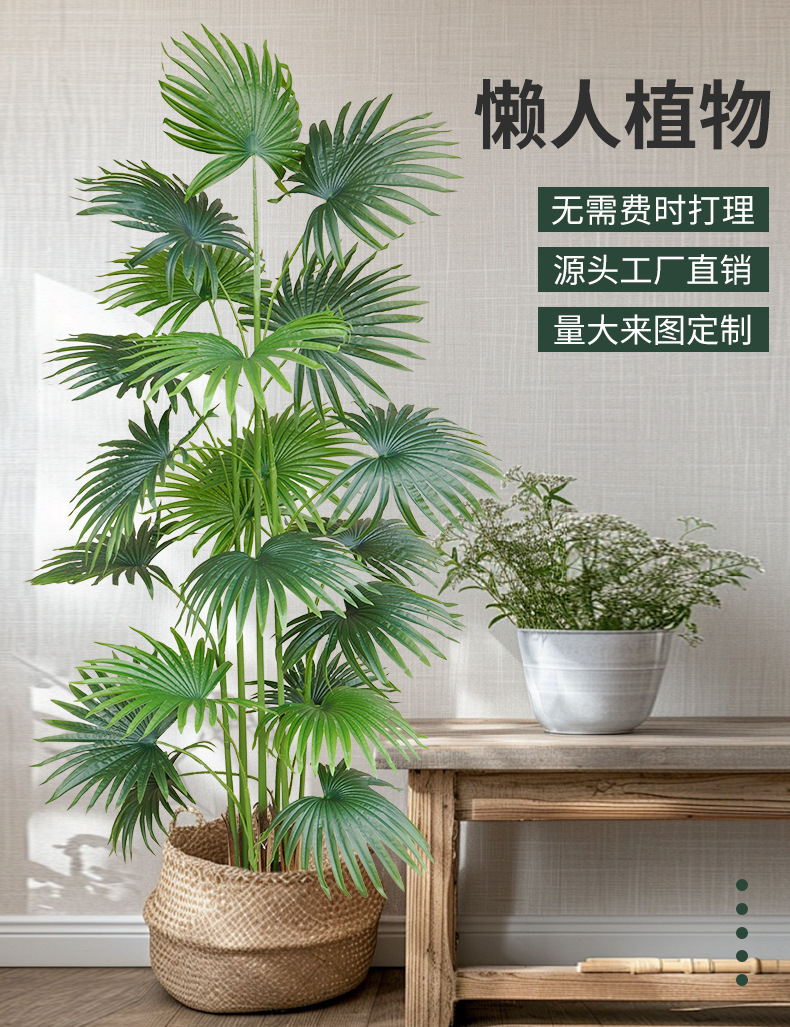 1.5-meter 5-stem 18-leaf mini palm tree with a black pot