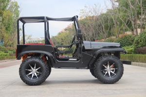 <strong>200cc</strong> Automatic Gasoline Side-by-Side <strong>UTV</strong> with Chain Drive Transmission 4 Stroke Engine Max Speed up to 65km/h - Product Image 6