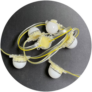 Led segnaletica DC12V 30CM 40CM 50CM rgb singolo colore RGBIC RGBW DMX512 punto sorgente luminosa led modulo per canale lettera segno - Product Image 6