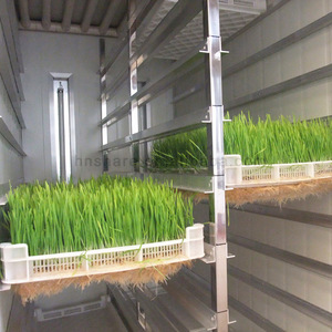 Thức Ăn Gia Súc Hydroponics Phát Triển Hệ Thống Đậu Phộng Giá Đỗ Máy Thủy Canh Thức Ăn Gia Súc Phát Triển Hệ Thống - Product Image 2