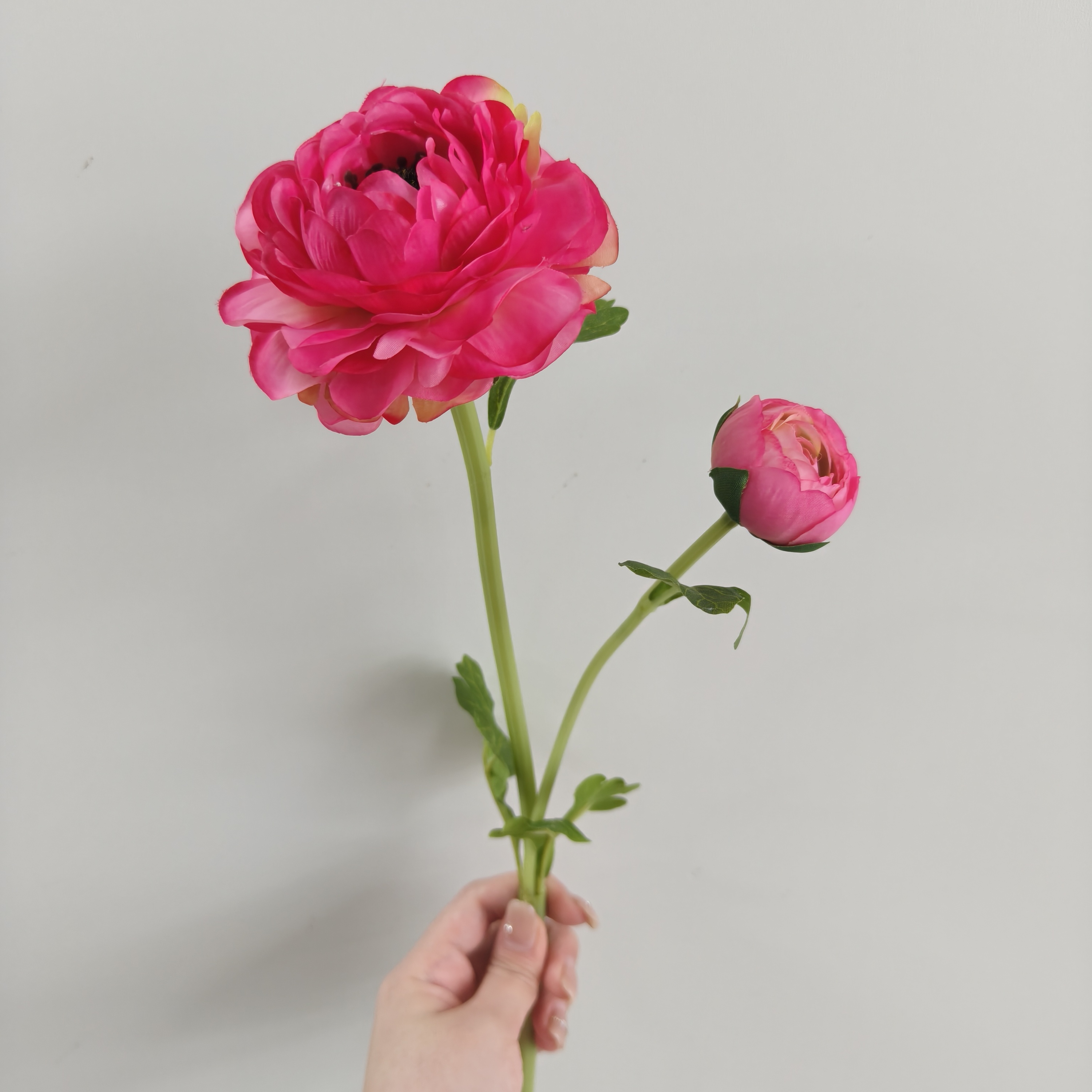Rose-red 2-head dew lotus single branch