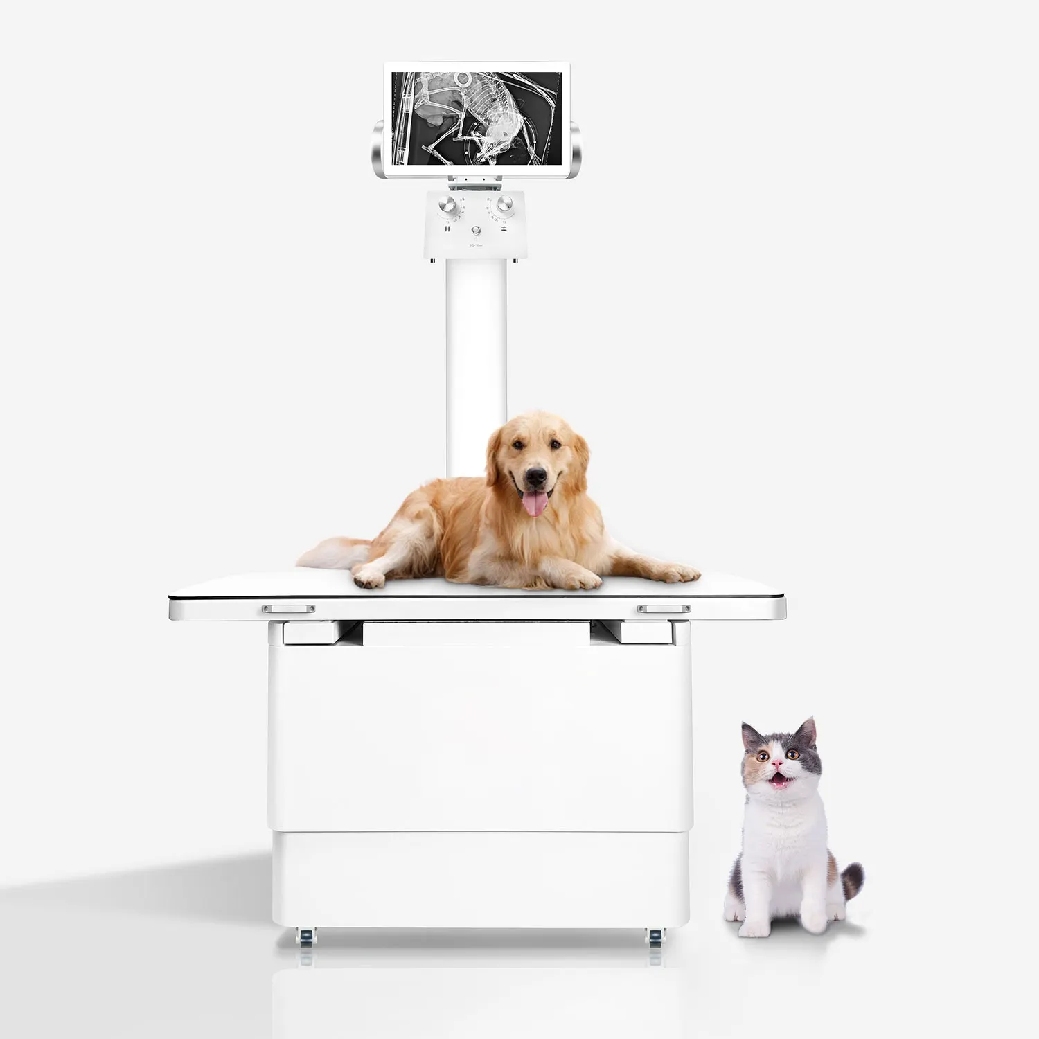 Vet Dr ระบบสร้างภาพ Veterinary dr x-ray เครื่องเอ็กซ์เรย์ดิจิตอล ราคา เครื่องเอ็กซ์เรย์แบบพกพา สัญญาณสําคัญ ตรวจสอบ เครื่อง DR