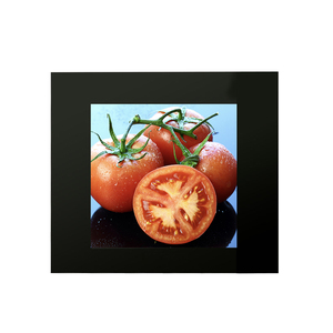 Módulo de pantalla LCD táctil capacitiva de interfaz SPI RGB de 3,95 pulgadas 480*480 con pantalla TFT de retroiluminación LED - Product Image 3