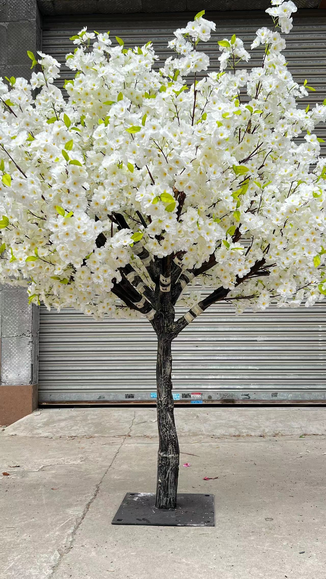 3.white 2m cherry tree