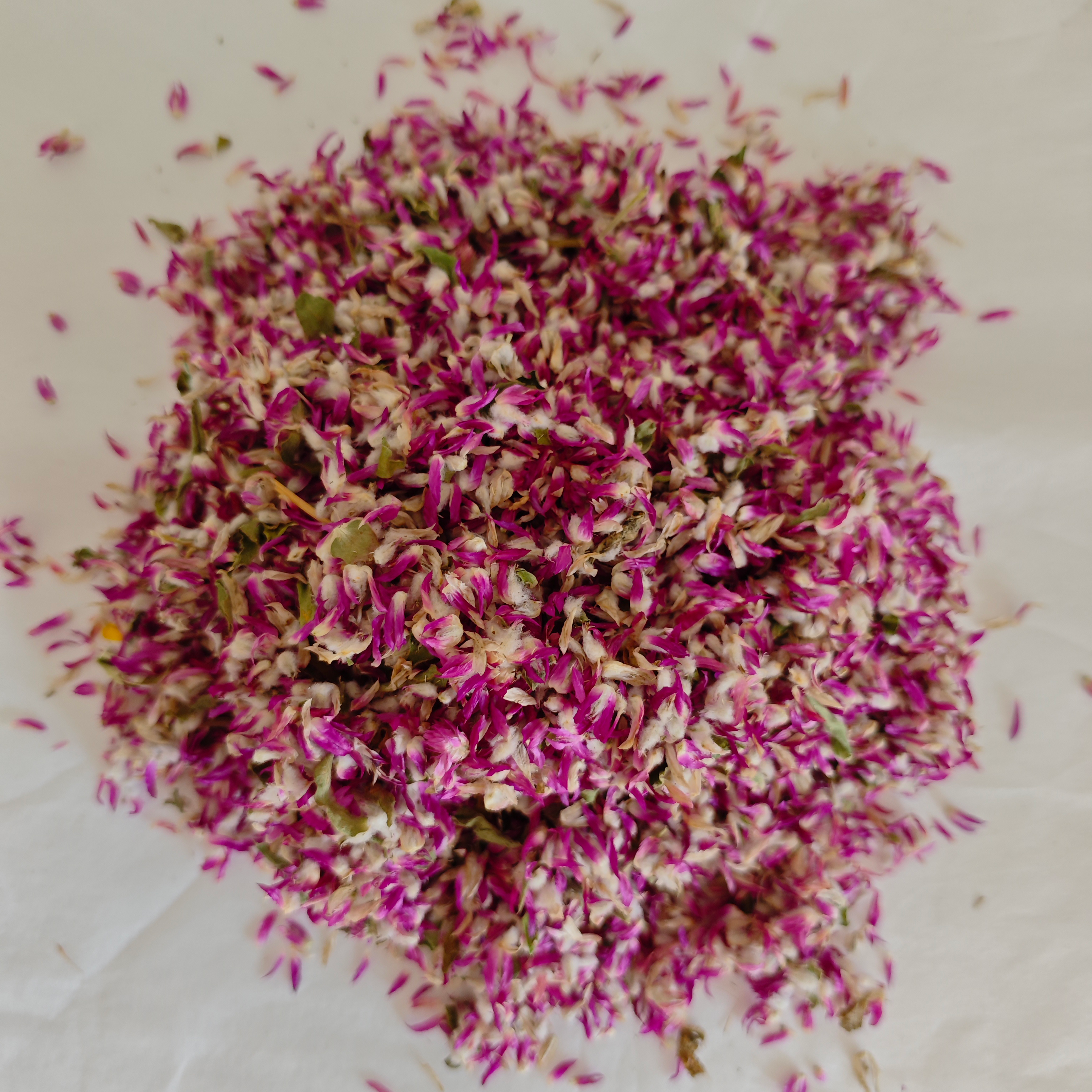 amarante globe violette