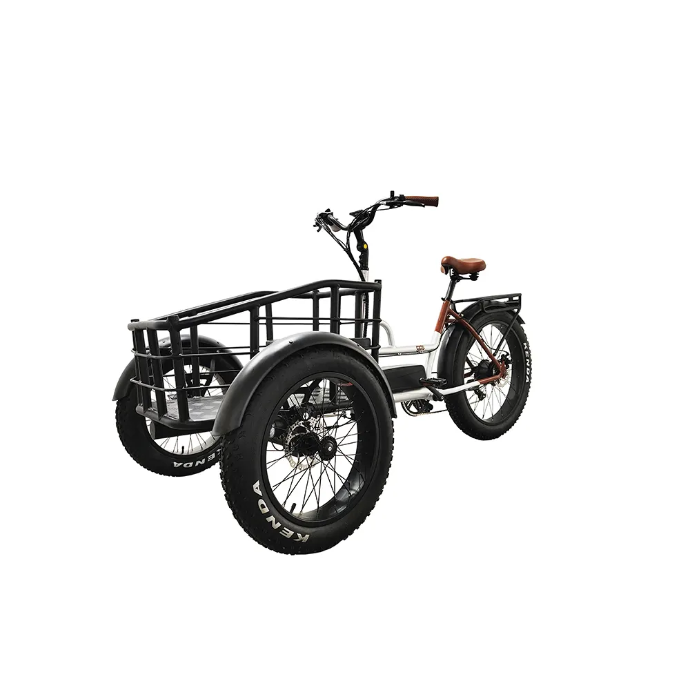 नई डिजाइन 3 पहिया इलेक्ट्रिक साइकिल तीन पहियों वयस्क कार्गो बिजली बाइक टोकरी के साथ