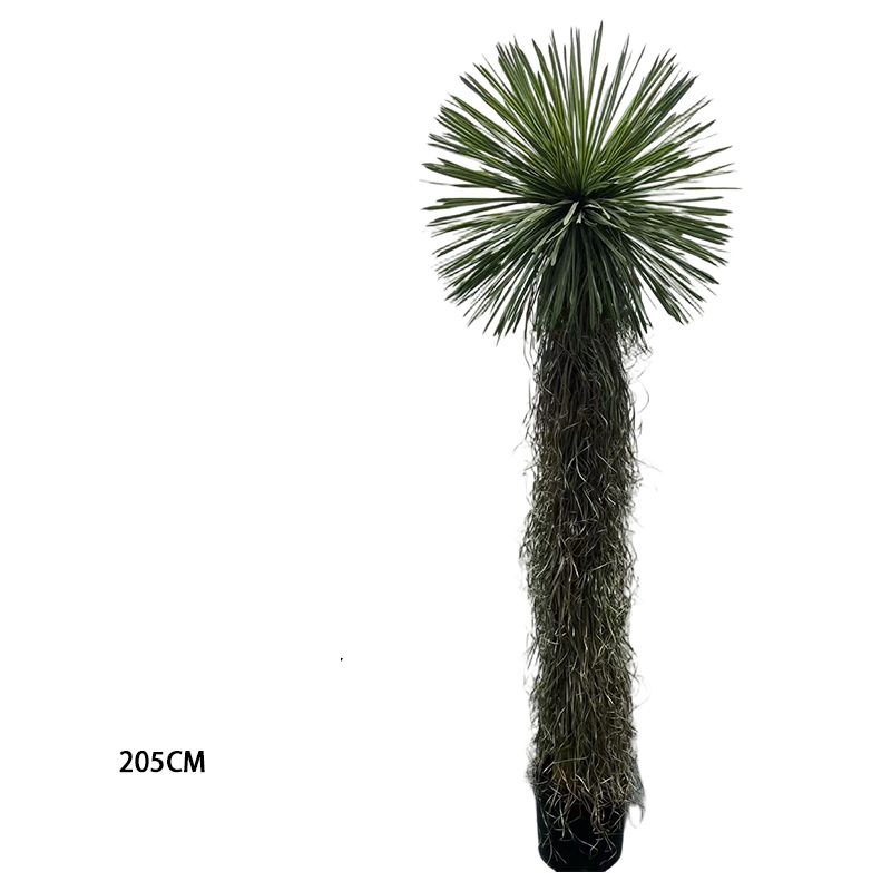 205cm