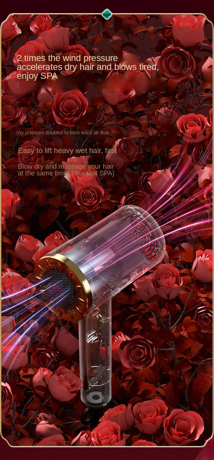 Amazon new fashion hair dryer negative ion hair care quiet and quick-drying household salon travel Professional hair dryer