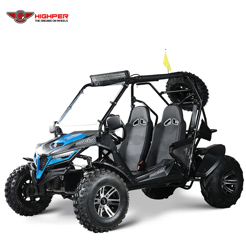 150cc 200cc 250cc 300cc Benzin Offroad Beach Dune Buggy Cross Go Karts für Erwachsene