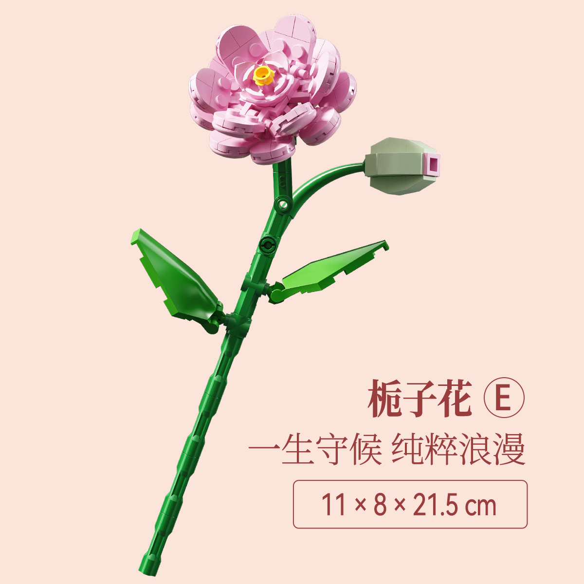 11101-e gardenia