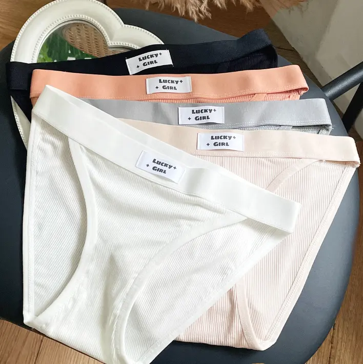 Culotte en coton sexy pour femmes Sous-vêtements sexy et doux à la mode Culotte sans couture