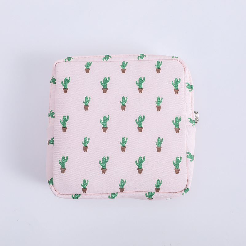 Cactus rosa