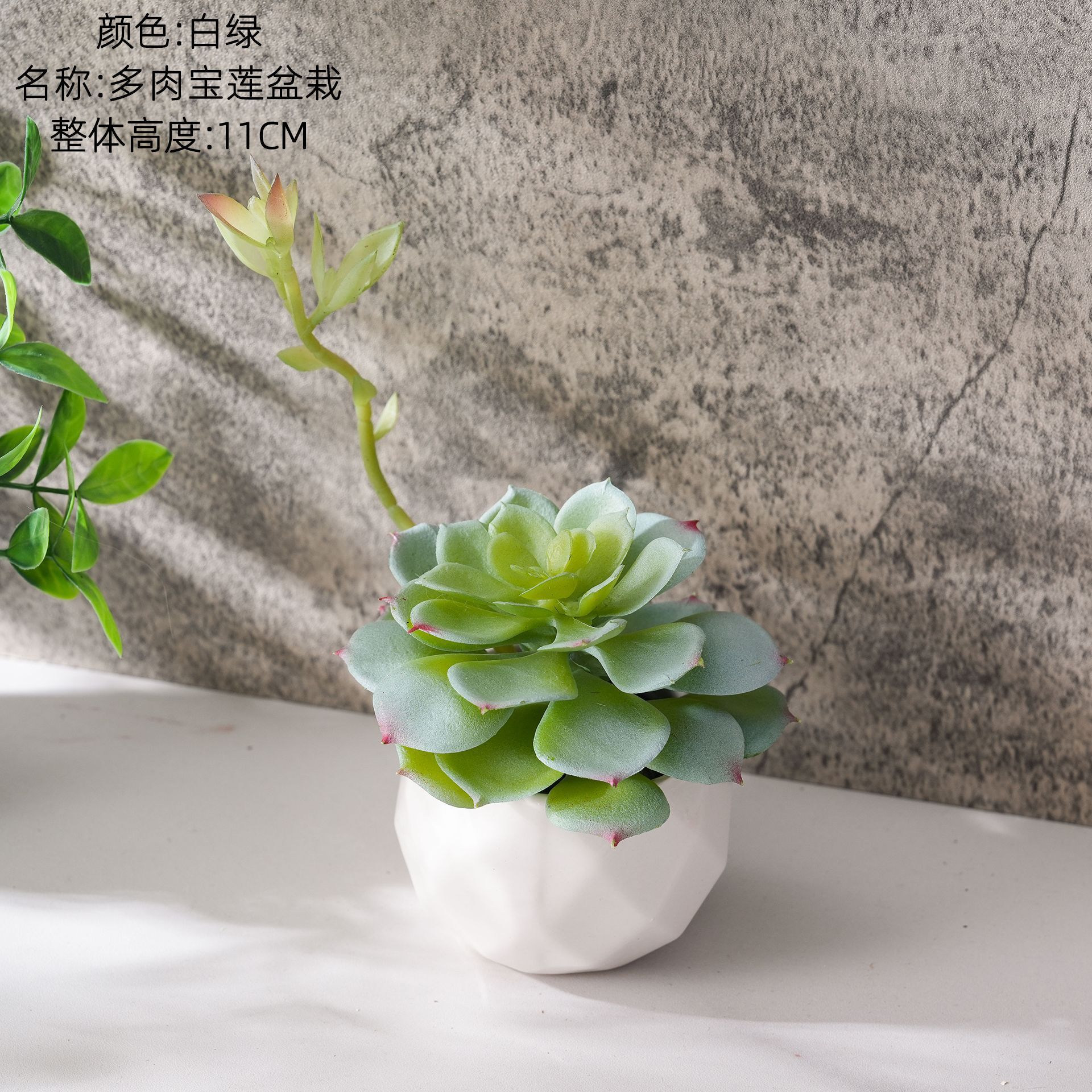 CF02245 Blanc et Vert