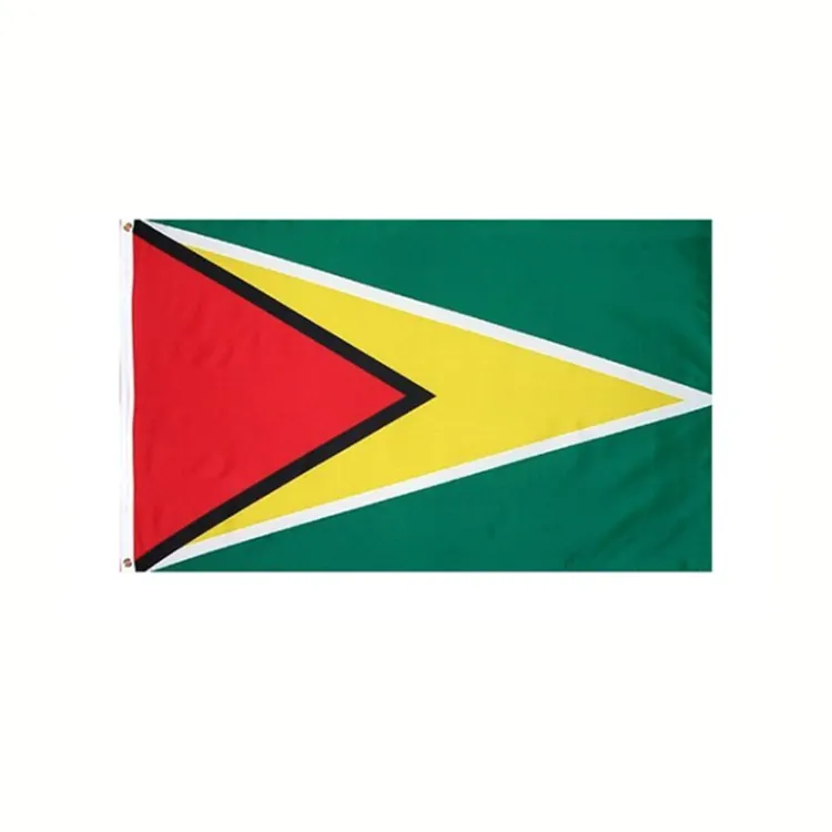 Banderas personalizadas impresas 3x5ft Impresión World Country Guyana Flag Banner