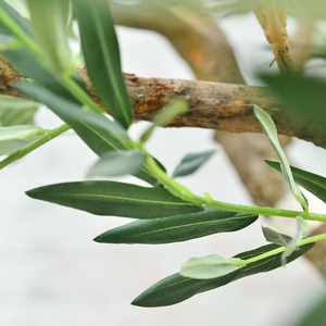 Fabrika üretim büyük yapay zeytin ağacı masa merkezi parça kapalı Faux ağacı için dekoratif zeytin ağacı yapay - Product Image 2