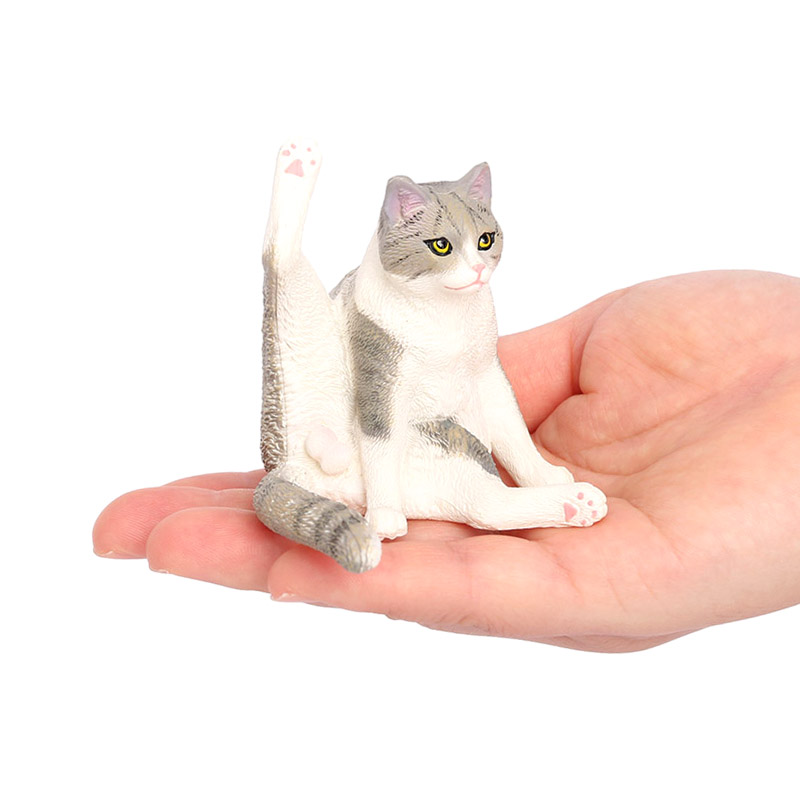2824 gato