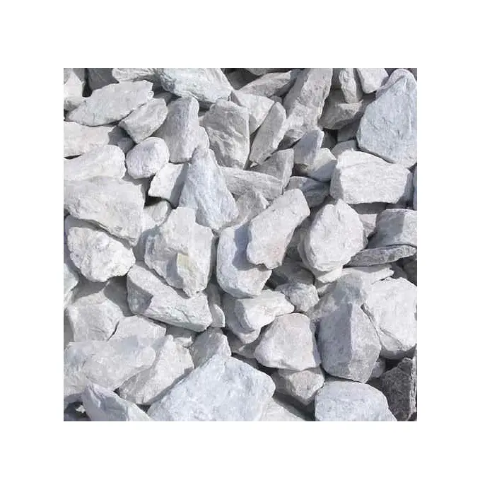 Jumlah besar putih Dolomite tinggi untuk lempengan marmer kuarsit tersedia dengan harga grosir dari eksportir India