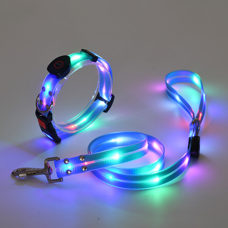 Laisse bleue, bandes lumineuses 5 couleurs