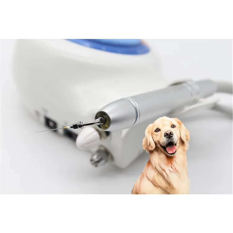 Vet Materials Dental Examination Kit Dental Veterinary Ultrasonic Scaler con suministro de agua