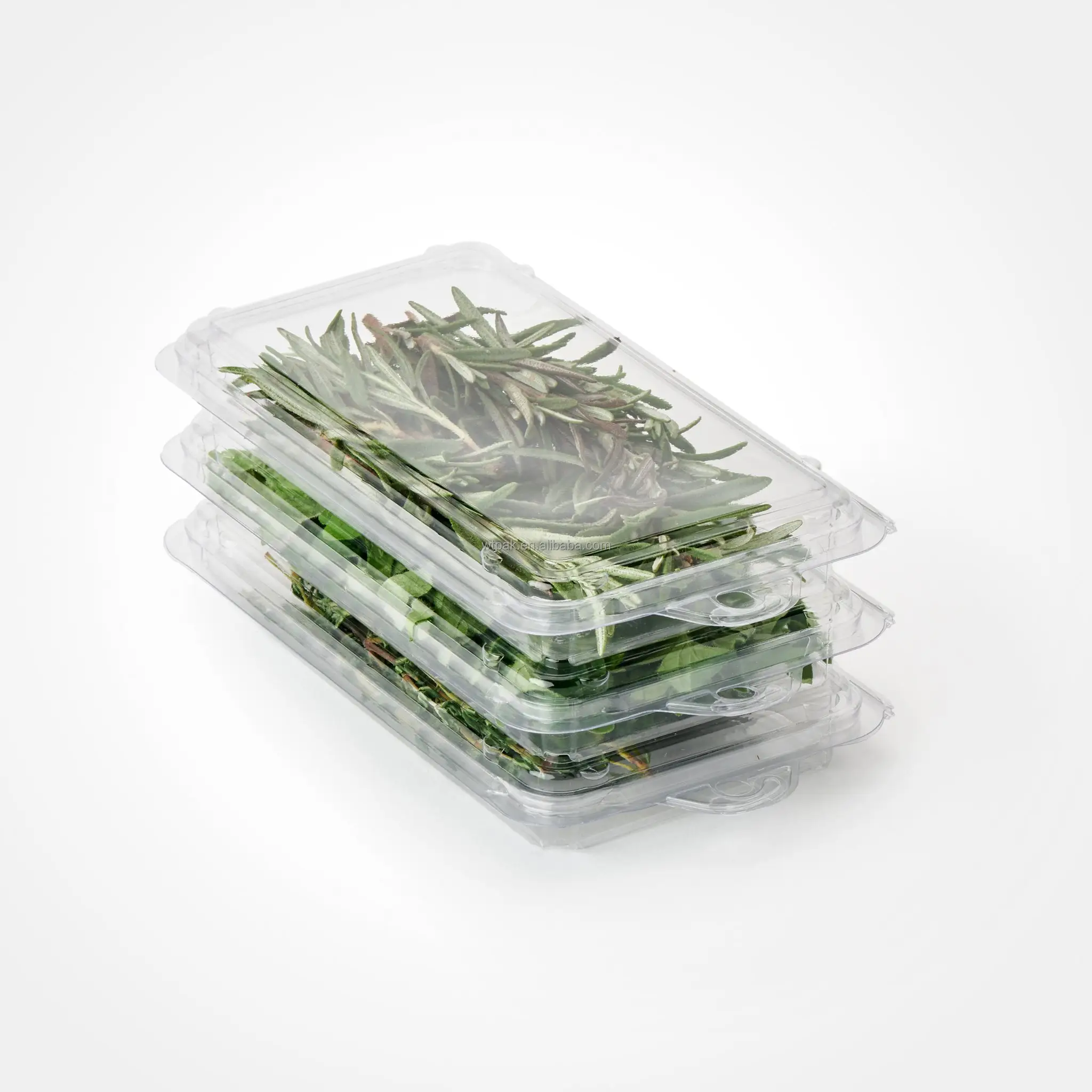신선한 나물을 위한 경첩을 단 뚜껑 플라스틱 물집 조가비 포장 상자