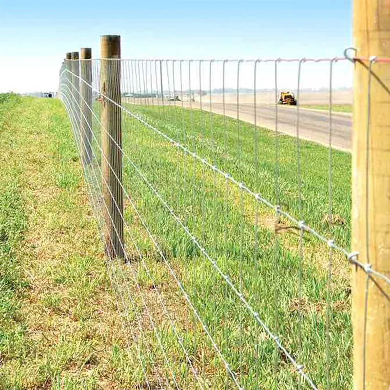 Recinzione agricola attrezzatura per mangimi per bovini rete metallica da gioco 1.2M di altezza bovini da pecora nodo fisso recinzione da campo 50M 100M recinzione da campo per guardia agricola