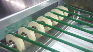 Máquina de clasificación personalizada de cebolla, zanahoria, pepino, seta, manzana, clasificación de fruta, máquina de conteo para vegetales - Product Image 4