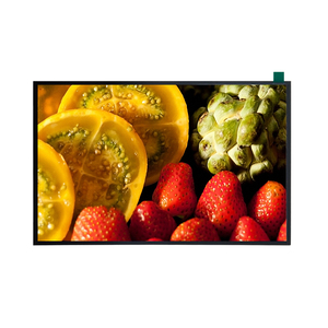 Módulos de pantalla LCD TFT FRIDA IPS originales de 10,1 pulgadas, pantalla táctil capacitiva con interfaz MIPI opcional, resolución de 1280*800