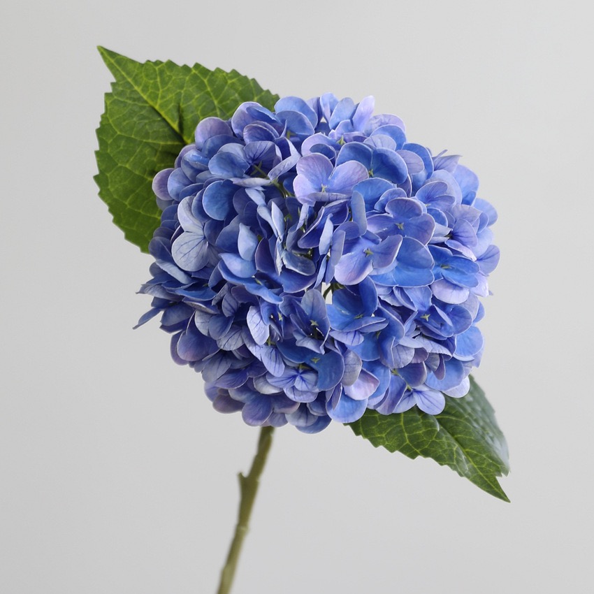 Blu reale