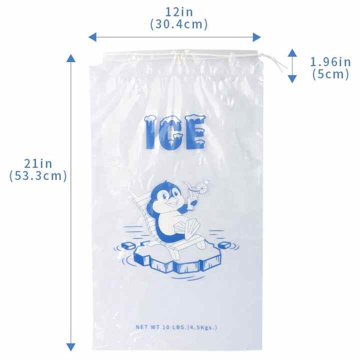 Pp usa e getta coulisse Bolsas Para Hielo En Mayoreo Cooler Freezer Bags per Ice Pop Food Cube Packaging stampa plastica