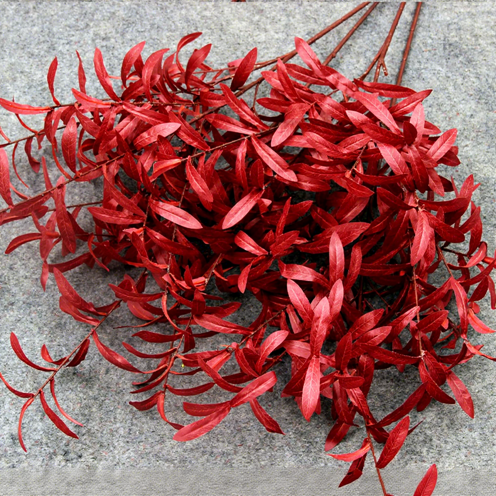 Rama de Olivo Roja / unidad