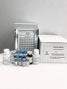 Serum ve plazma örneklerinde doğru LGALS7 tespiti için İnsan Galectin-7 ELISA seti - Product Image 4