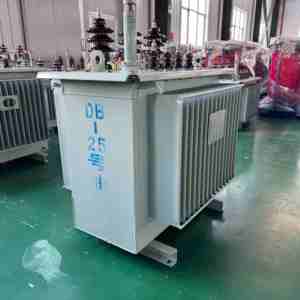 Trasformatore immerso in olio con Design silenzioso e antipolvere con potenza di utilizzo 125kva capacità nominale 11kv tensione di uscita - Product Image 2