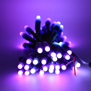 Лидер продаж WS2811 WS1903 RGB полноцветный светодиодный пиксельный модуль водонепроницаемый адресуемый 5 В 12 В струнный свет для сада IP65 ПВХ корпус - Product Image 1