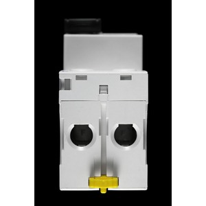 New 25 AMP 30mA <strong>Double</strong> Pole RCCB RCD AC ILD A9R41225 ACTI9 with RS485 Communication Interface for PLC <strong>Programming</strong> - Product Image 4