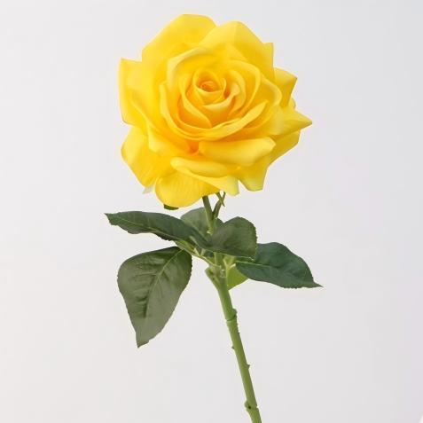Giallo