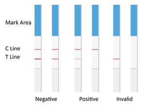 ミルク獣医テストストリップのための急速な0.2ppb Aflatoxin M1テストキット - Product Image 3