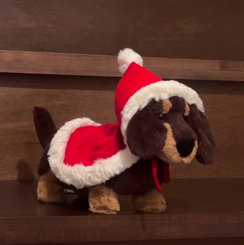 Capa para dachshund de 15 cm