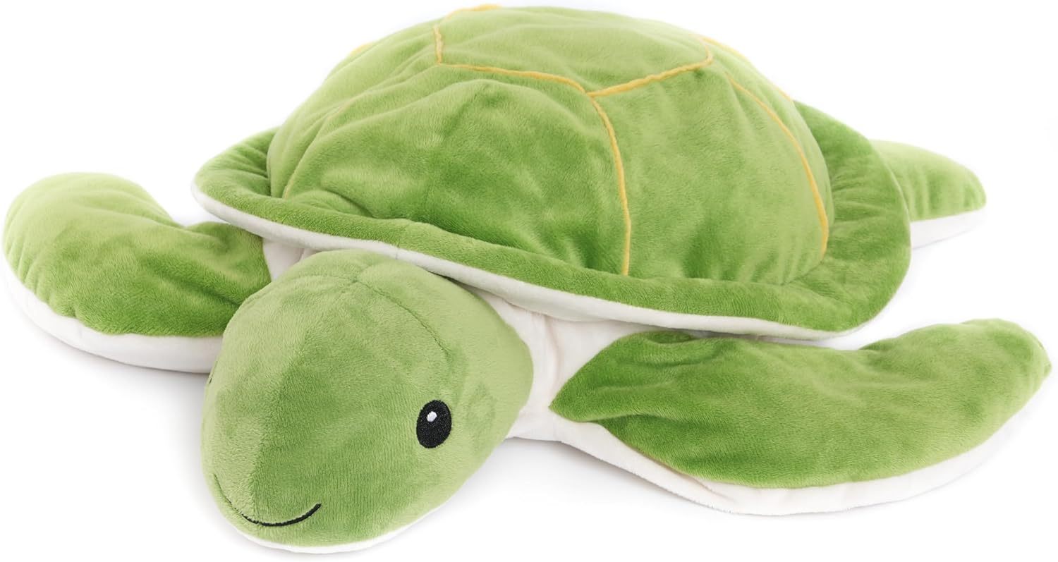 Tortues marines