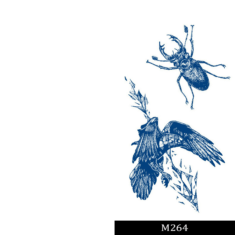 GZ264 Oiseau et Insecte